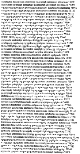 Модуляция экспрессии гентингтина (патент 2562861)