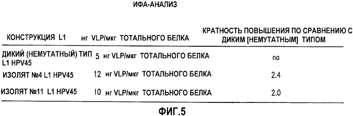 Оптимизированная экспрессия l1 hpv45 в дрожжах (патент 2360001)