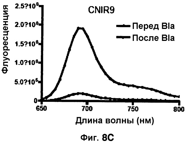 Применение бактериальной бета-лактамазы для диагностики in vitro и визуализации, диагностики и лечения in vivo (патент 2520661)
