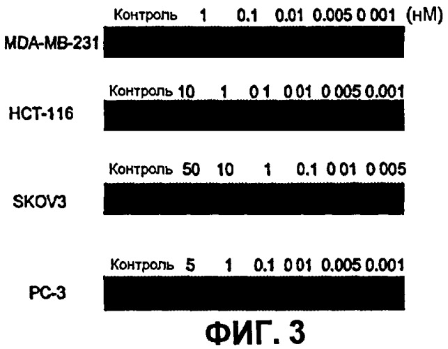 Соединения, связывающие домен bir белков iap (патент 2472780)