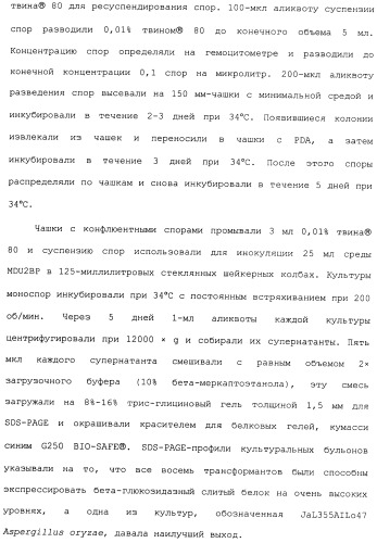 Клетка-хозяин trichoderma reesei для получения целлюлолитической белковой композиции, целлюлолитическая белковая композиция, способы ее получения и применения (патент 2494146)