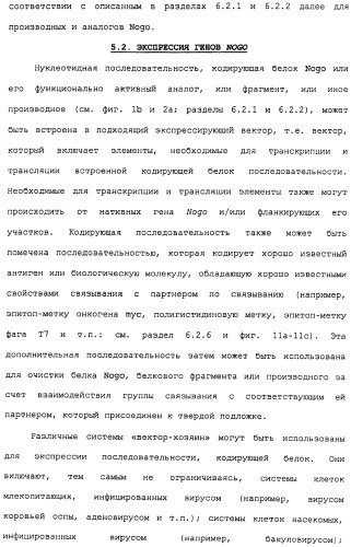 Поликлональное антитело против nogo, фармацевтическая композиция и применение антитела для изготовления лекарственного средства (патент 2432364)