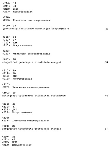 Рекомбинантные аттенуированные микроорганизмы clostridium и вакцина (патент 2445364)