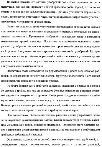 Способ возделывания яровой пшеницы предпочтительно в зоне светло-каштановых почв нижнего поволжья (варианты) (патент 2348137)