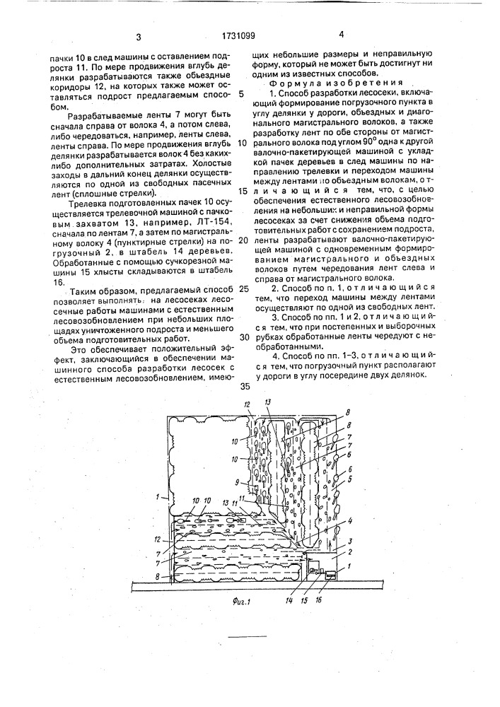 Способ разработки лесосеки (патент 1731099)