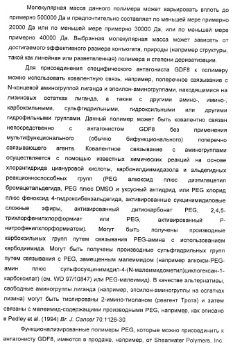 Антитела к gdf8 и их применения (патент 2447084)