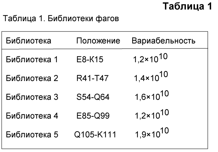 Варианты crig с созревшей аффинностью (патент 2553517)
