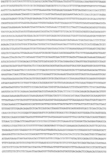 Применение s1p (патент 2362565)