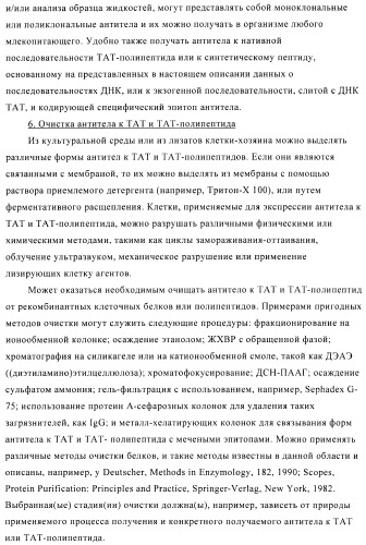 Композиции и способы диагностики и лечения опухоли (патент 2423382)