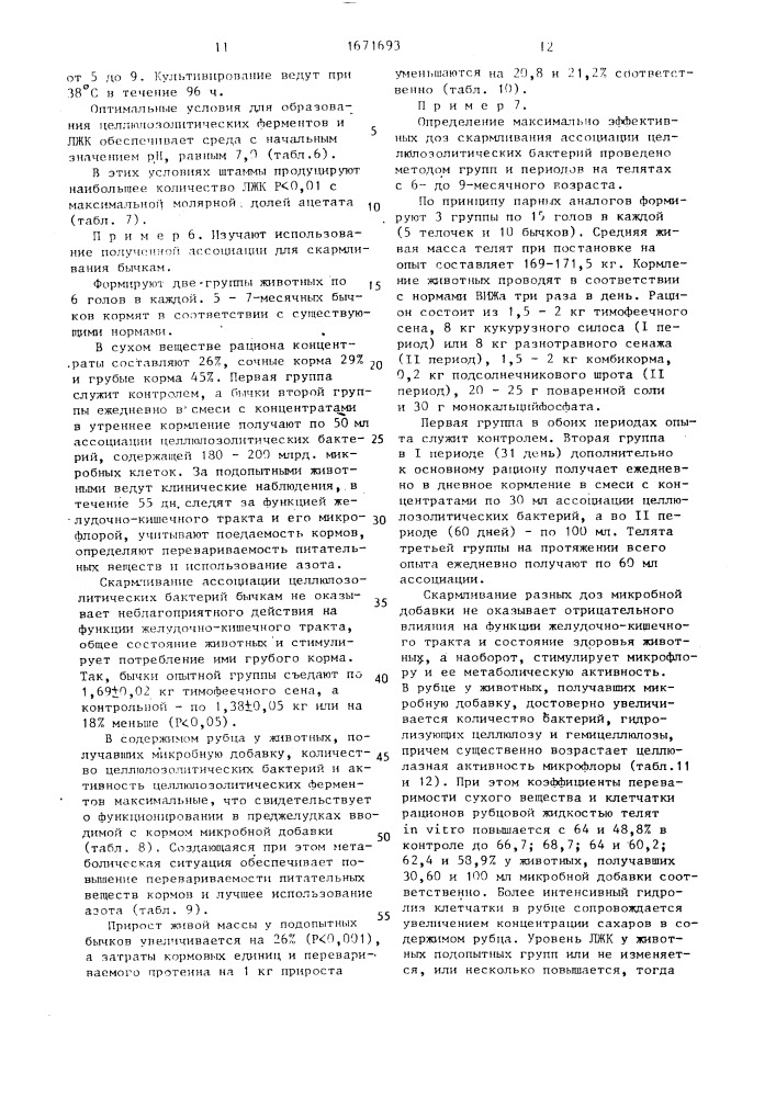 Ассоциация микроорганизмов для скармливания молодняку крупного рогатого скота (патент 1671693)
