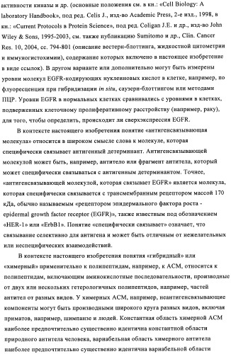 Антигенсвязывающие молекулы, которые связывают рецептор эпидермального фактора роста (egfr), кодирующие их векторы и их применение (патент 2457219)