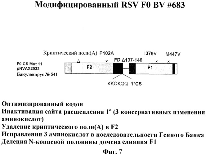 Модифицированные f протеины sv и способы их применения (патент 2531510)