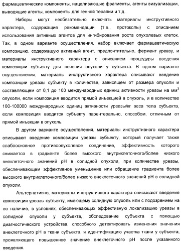 Использование уреазы для ингибирования роста раковых клеток (патент 2326691)