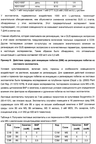 Улучшенная трансформация сои (патент 2389797)