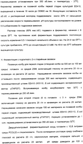 Продуцирование il-21 в прокариотических клетках-хозяевах (патент 2354703)