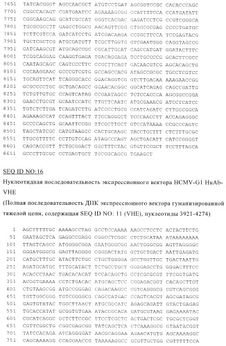 Терапевтические связывающие молекулы в виде химерного антитела (патент 2405790)