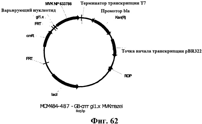 Композиции и способы получения изопрена (патент 2545699)