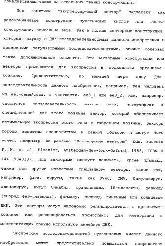 Ее3-семейство белков и соответствующие днк-последовательности (патент 2333918)