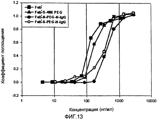 Физиологически активный полипептидный конъюгат, обладающий пролонгированным периодом полувыведения in vivo (патент 2312868)