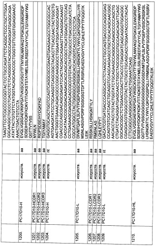 Pscaxcd3, cd19xcd3, c-metxcd3, эндосиалинxcd3, epcamxcd3, igf-1rxcd3 или fap-альфаxcd3 биспецифическое одноцепочечное антитело с межвидовой специфичностью (патент 2547600)