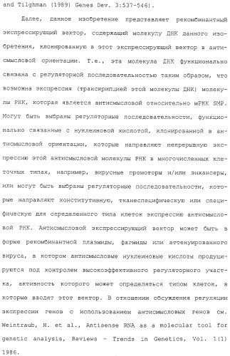 Гены corynebacterium glutamicum, кодирующие белки, участвующие в метаболизме углерода и продуцировании энергии (патент 2310686)