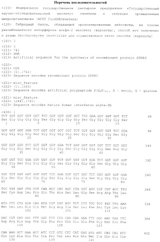 Гибридный белок, обладающий пролонгированным действием, на основе рекомбинантного интерферона альфа-2 человека (варианты), способ его получения и штамм saccharomyces cerevisiae для осуществления этого способа (варианты) (патент 2515913)