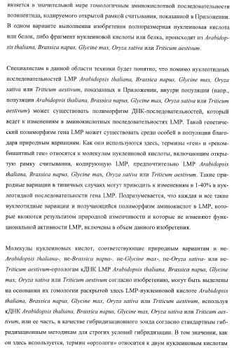 Молекулы нуклеиновых кислот, кодирующие wrinkled1-подобные полипептиды, и способы их применения в растениях (патент 2385347)