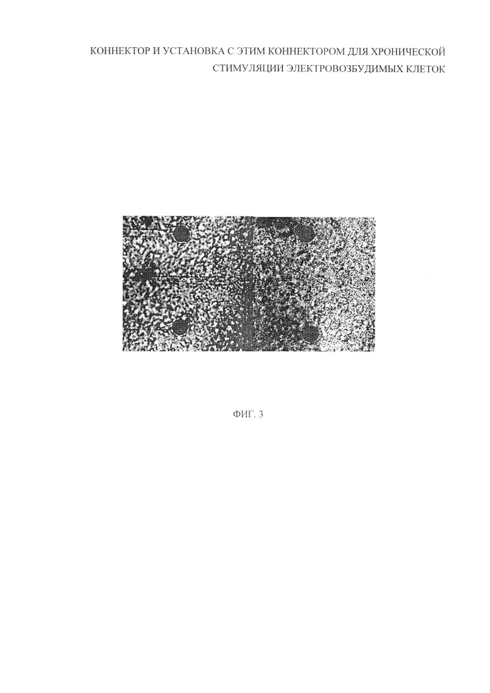 Коннектор и установка с этим коннектором для хронической стимуляции электровозбудимых клеток (патент 2636890)