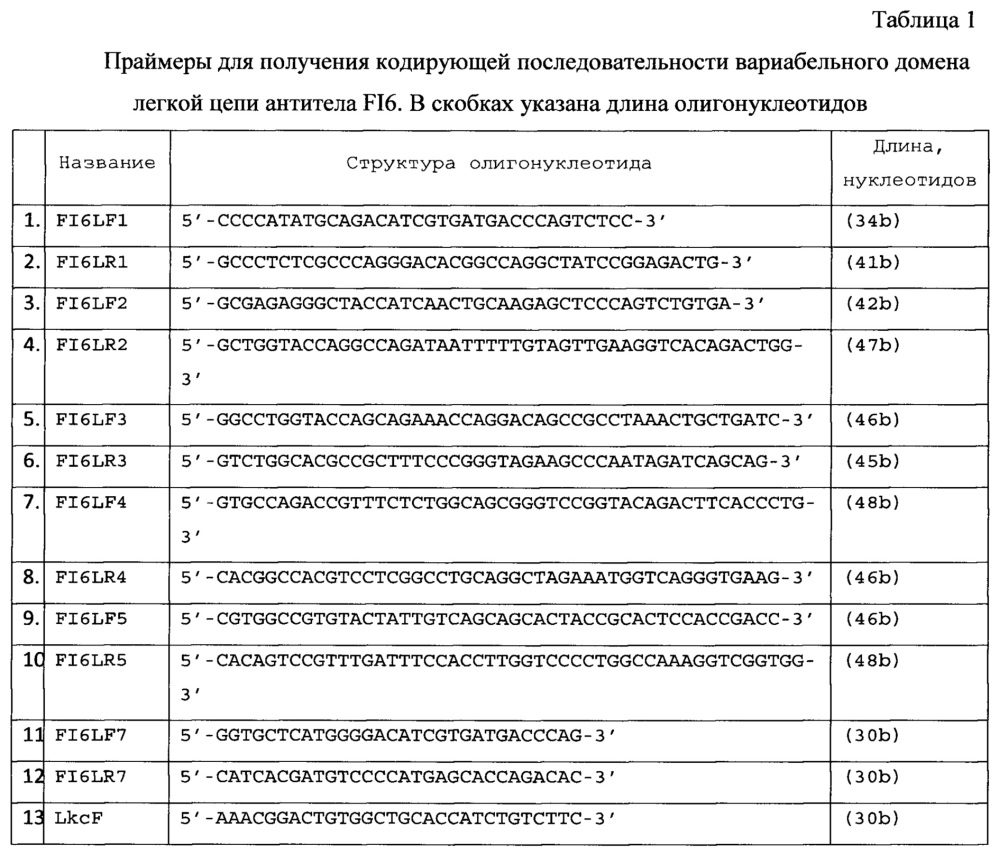 Рекомбинантная плазмидная днк pbipr-abiga1fi6-intht для получения рекомбинантного иммуноглобулина а изотипа iga1 (патент 2664184)