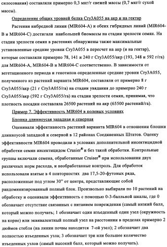 Вариант кукурузы mir604 (патент 2351122)