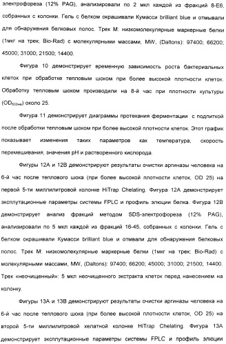 Фармацевтический препарат и способ лечения злокачественных опухолей у человека с помощью аргининовой депривации (патент 2335539)