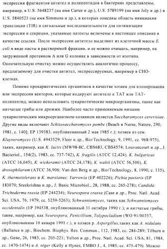 Композиции и способы диагностики и лечения опухоли (патент 2423382)