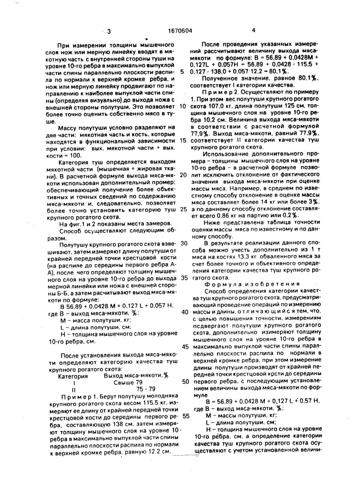 Способ определения категории качества туш крупного рогатого скота (патент 1670604)