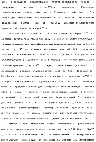 Новый лиганд рецептора цитокина zcytor17 (патент 2360923)