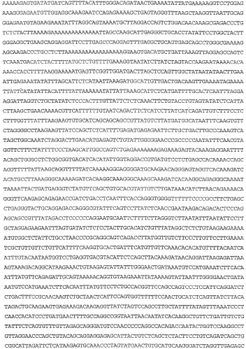 Применение s1p (патент 2362565)