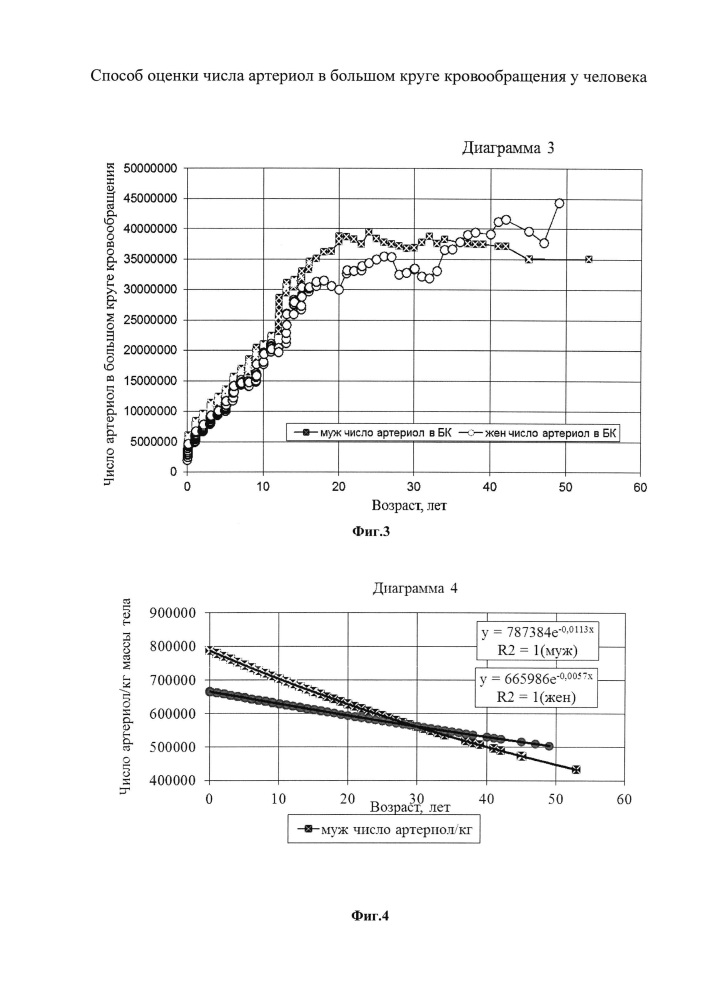 Способ оценки числа артериол в большом круге кровообращения у человека (патент 2647330)