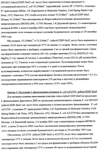 Способ получения l-треонина с использованием бактерии, принадлежащей к роду escherichia, в которой инактивирован кластер генов sfmacdfh-fimz или ген fimz (патент 2333953)