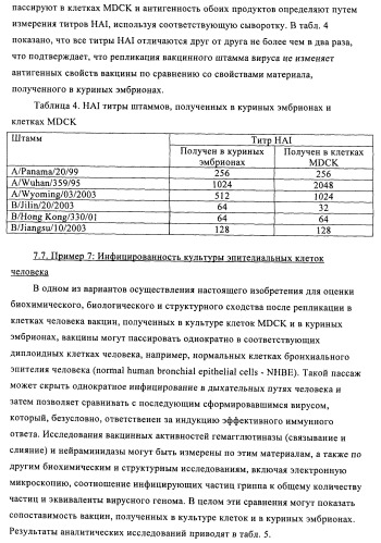 Способы и композиции для экспрессии антисмысловой вирусной рнк в клетках собаки (патент 2457250)