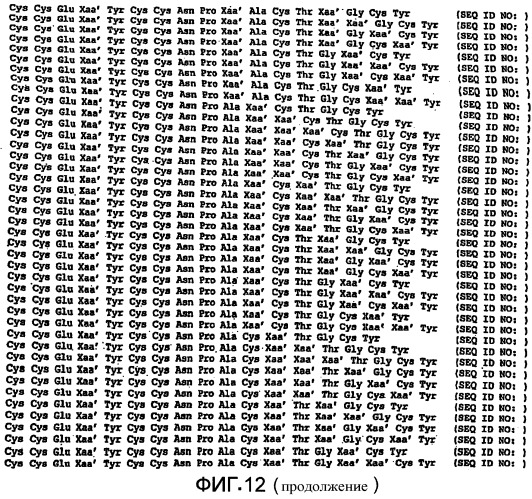 Полипептид для увеличения активности рецептора гуанилатциклазы, фармацевтическая композиция, способ лечения желудочно-кишечного расстройства у пациента, способ повышения активности рецептора гуанилатциклазы у пациента, способ лечения висцеральной боли, способ получения полипептида (варианты), изолированная молекула нуклеиновой кислоты, бактериальный вектор экспрессии и изолированная бактериальная клетка (патент 2433133)