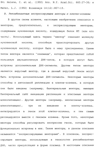 Гены corynebacterium glutamicum, кодирующие белки метаболических путей (патент 2306339)