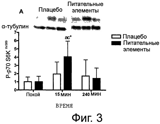 Способ повышения синтеза мышечных протеинов (патент 2503269)