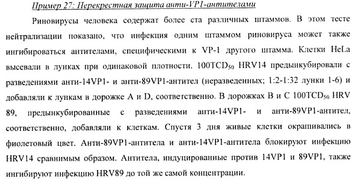 Гипоаллергенный слитый белок, молекула нуклеиновой кислоты, кодирующая его, вектор экспрессии, клетка-хозяин, вакцинная композиция и его применение (патент 2486206)