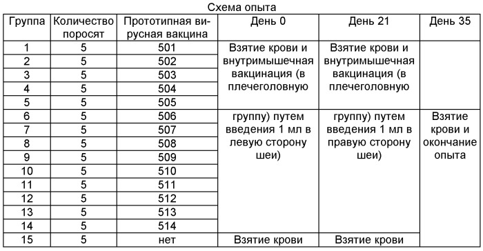 Новые белки н5, кодирующие их молекулы нуклеиновых кислот и векторы, и их применение в медицине (патент 2479589)