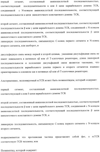Экспонирование т-клеточных рецепторов (патент 2346004)