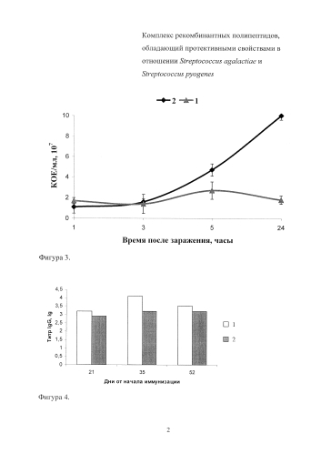 Комплекс рекомбинантных полипептидов, обладающий протективными свойствами в отношении streptococcus agalactiae и streptococcus pyogenes (патент 2587627)