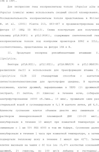 Полимеры изопрена из возобновляемых источников (патент 2505605)