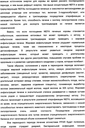 Применение агониста рецептора, активируемого пероксисомным пролифератором, для увеличения концентрации сывороточной глюкозы у жвачного животного (патент 2342130)