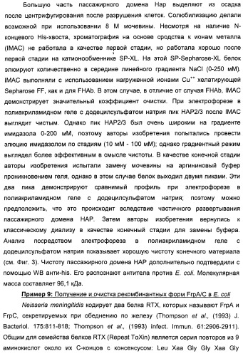 Нейссериальные вакцинные композиции, содержащие комбинацию антигенов (патент 2494758)