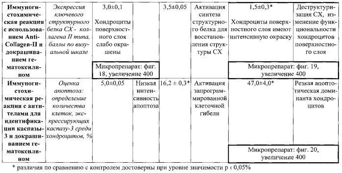 Способ моделирования остеоартроза (патент 2587039)