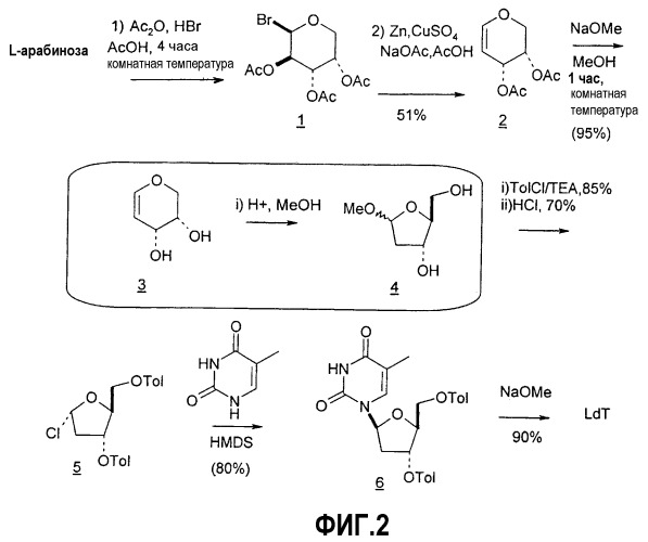 Синтез  -l-2&#39;-дезоксинуклеозидов (патент 2361875)